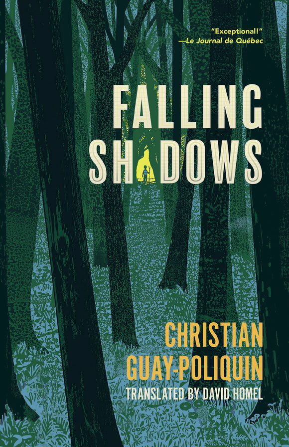 Falling Shadows