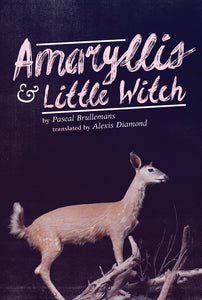 Amaryllis &amp; Little Witch