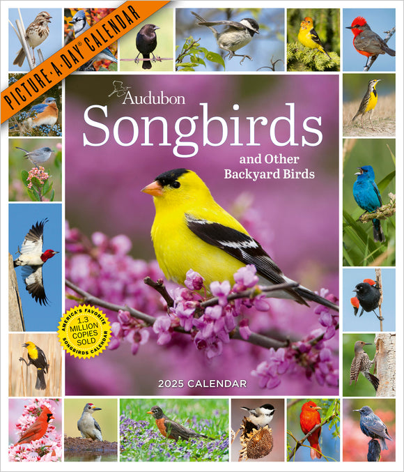 Audubon Songbirds and Other Backyard Birds Picture-A-Day® Wall Calendar 2025