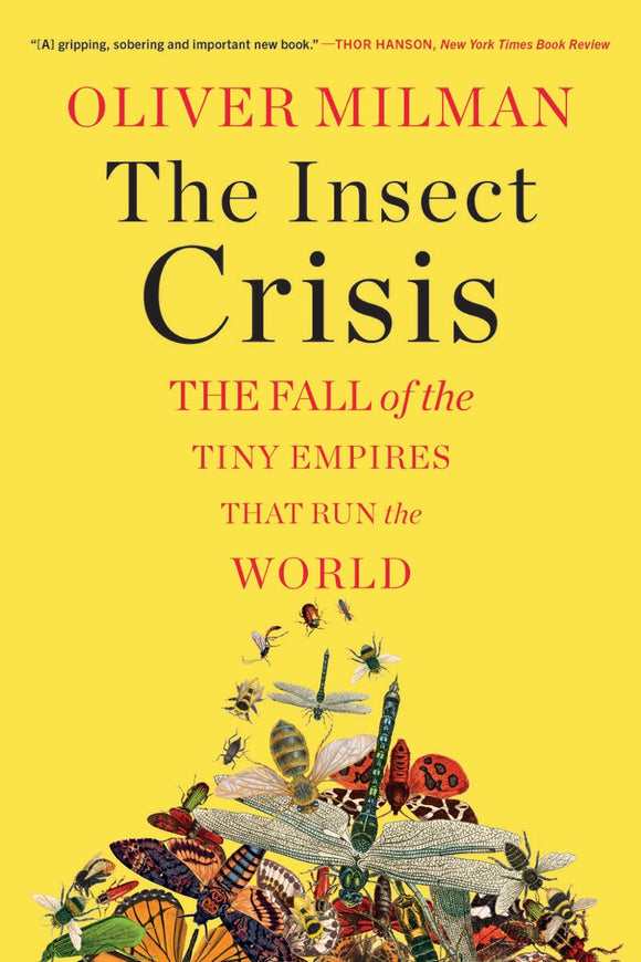 The Insect Crisis