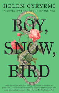 Boy, Snow, Bird