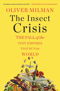 The Insect Crisis