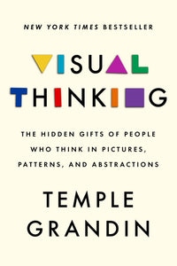 Visual Thinking